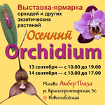 Осенний орхидиум Orchidium 13-14 сентября 2025 г. Москва